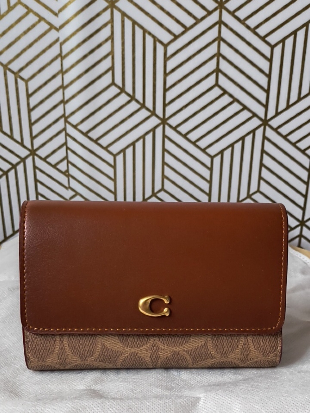 Coach Red and Beige Women's Bag E